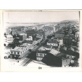 Dunedin from the Town Hall Belfry