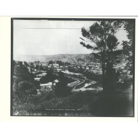 Dunedin from the Botanical Gardens