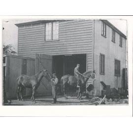 Standing for horses used in D.C. Mitchell & Son delivery carts