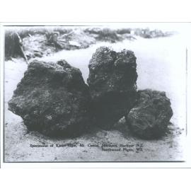 Specimens of Kauri Gum, Mt Camel, Horihora Harbour N.Z.