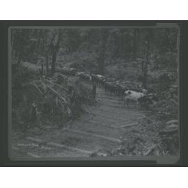 Omahuta "Hauling on the skidded road"