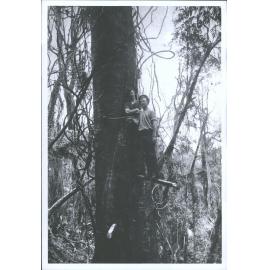 DAVID HENDERSON & ALFRED HENDERSON