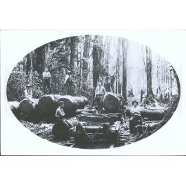 A loading bank, Tiroa Forest King Country