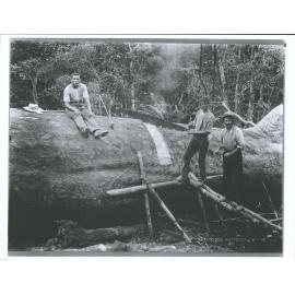 Omahuta "Crosscutting"