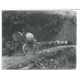Omahuta "Hauling logs with bullock teams"