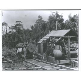 Omahuta "A winder at work on a bush tramline"