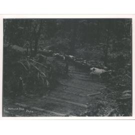 Omahuta Sawmilling