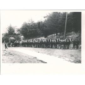 24 horse team NZ Express Co delivering  13 ton wire rope Feb 1920