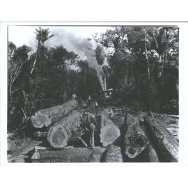 Omahuta "A steam engine with wire rope is often used for hauling logs distances out of the bush"