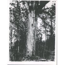 T. C. Hawkins contract 1910-11 etc