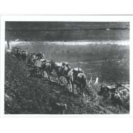 "On route Tangowahine - Tutamoe, 20 miles to T C. Hawkins Camp" "The only way the bushmen receive his tucker & supplies"