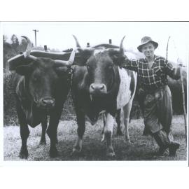 Clotworthy Bullock driver  from Whangaria at the Paparoa Centennial Show.