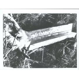 a cut 54ft long - nice workmanship by Alf Raunet and Francis Weck this photo was taken from the head of the tree looking towards