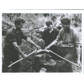 Bushman sharpening up their axes-Kawaeranga  Bush