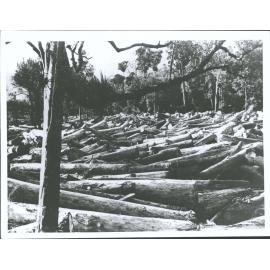 The end of drive, thousands of logs.