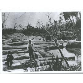 T. G. Hawkins (Standing) &  Arthur Stallworthy (later M.P) 10,000,000 ft of Kauri stretching up stream for 5 miles Awakino N. Wa