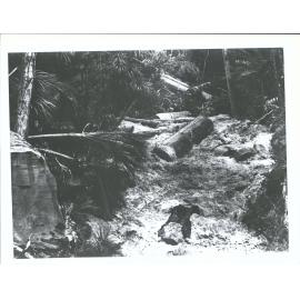 A drive in action in small creek at Mata