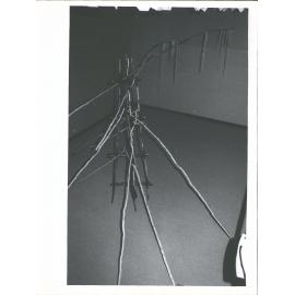 3 - 22 May 1982. Booth, Christopher Frances Hodgkins Fellow 1982