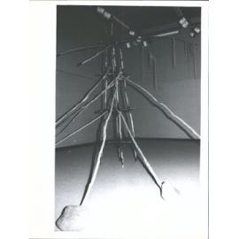 3 - 22 May 1982. Booth, Christopher Frances Hodgkins Fellow 1982