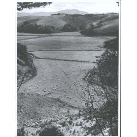 Landscape II