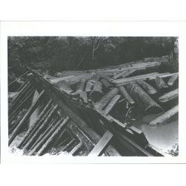 Logs in the Dancing Camp dam