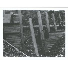 Dam Builders at Work