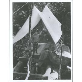 See supporting material V.F. - Kauri