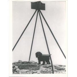 Summit