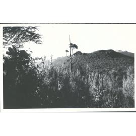 Mr Cargill Taken from below Second ridge showing Organ Pipe formation at dead centre