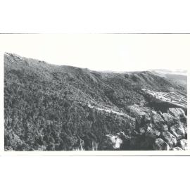 View from top of Organ Pipe formation looking towards Upper Waitati