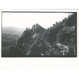 Organ pipes