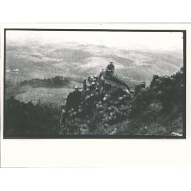 Organ pipes