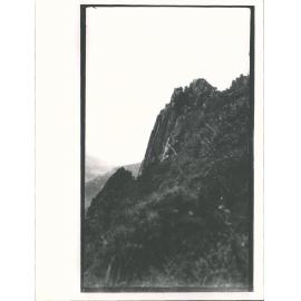 Organ pipes