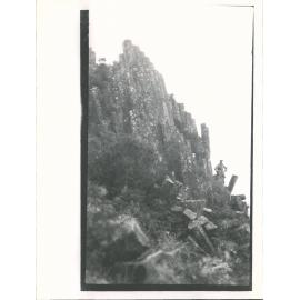 Organ pipes