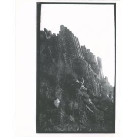 Organ pipes