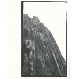 Organ pipes
