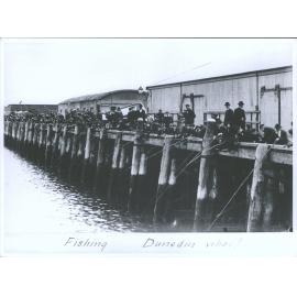Fishing, Dunedin wharf