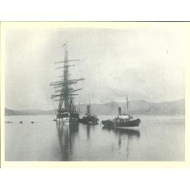 Coming into the Wharf. Tugs Plucky (foreground) v Koputai bringing the Zealandia up Victoria Channel
