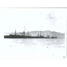 "L to R - Tarakina, Waikouaiti, Barque Penang,Tarborg"