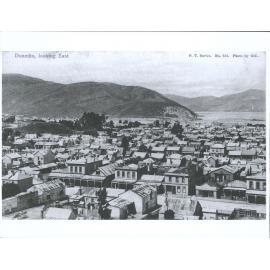 Dunedin Shows Gt King Street
