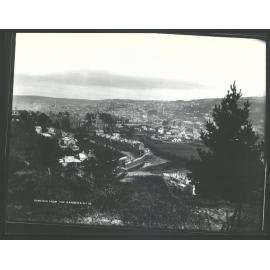 Dunedin from the Gardens