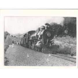 picnic train