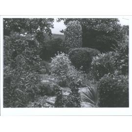 Garden at 19 warden street