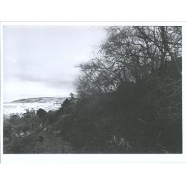 All weather Joggers track