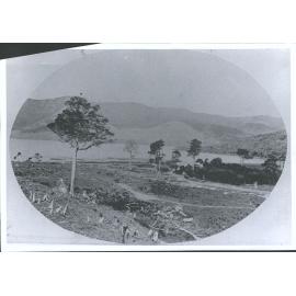 Lake Guyon Sheep Station