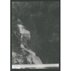 Falls Creek, near Mauan Camp falling into Hollyford River