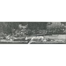 Dominion Fertiliser, Ravensbourne