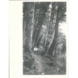 Track by Lake Fergus