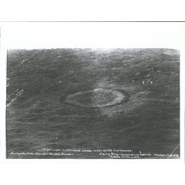 Lycopodium laterale , forming fairy ring, Wakatipu