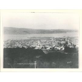 Dunedin from Littlebourne